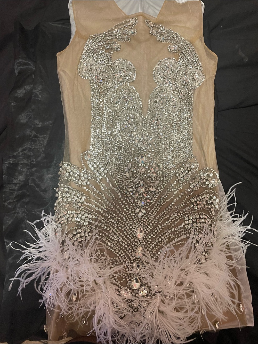 Fashion Bug Nude Illusion Dress with Crystal Embellishments and Feather Trim